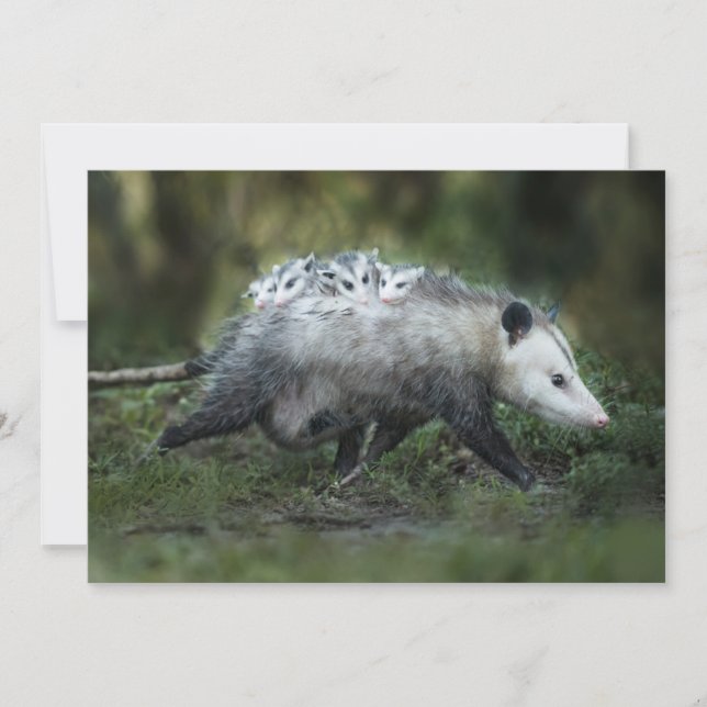 Tarjeta De Agradecimiento Animales de bebé más afectados | Mamá y niños de O (Anverso)