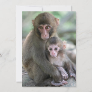 Tarjeta De Agradecimiento Animales de bebé más afectados   Monos japoneses