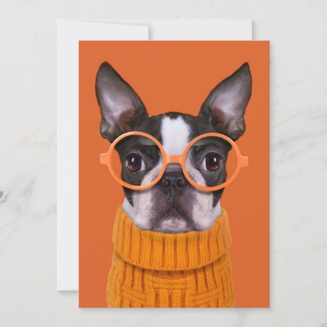 Tarjeta De Agradecimiento Animales de bebé más afectados | Naranja Boston Te (Anverso)