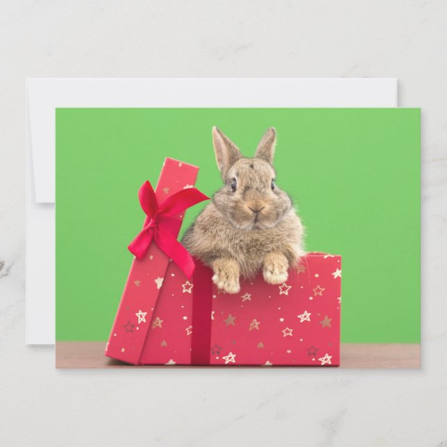 Tarjeta De Agradecimiento Animales de bebé más afectados | Navidades Holiday (Anverso)