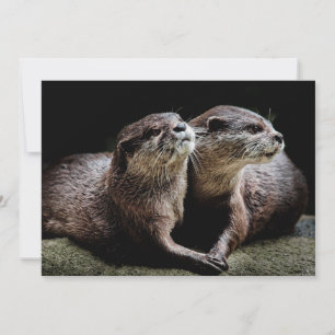 Tarjeta De Agradecimiento Animales de bebé más afectados   Otters Manteniend