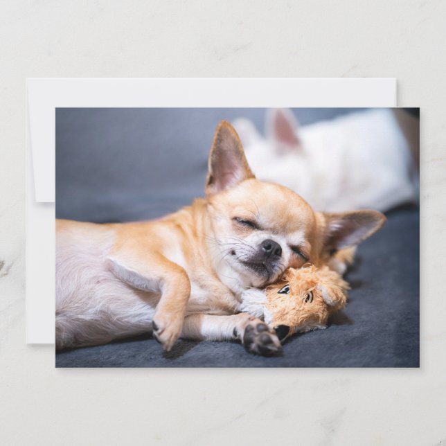 Tarjeta De Agradecimiento Animales de bebé más afectados | Perro Chihuahua d (Anverso)