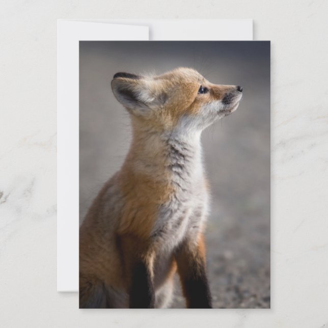 Tarjeta De Agradecimiento Animales de bebé más afectados | Retrato de Baby F (Anverso)