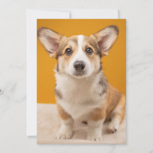 Tarjeta De Agradecimiento Animales de bebé más afectados Retrato de Corgi