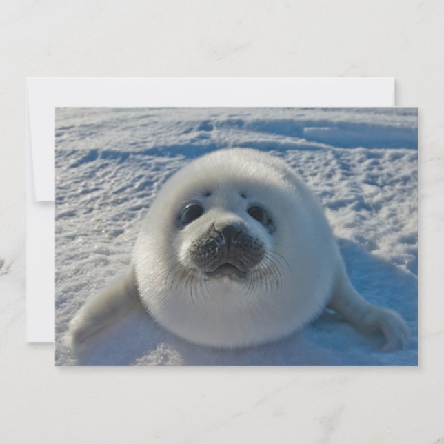 Tarjeta De Agradecimiento Animales de bebé más afectados | Sello de bebé (Anverso)