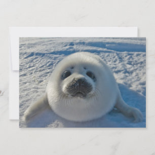 Tarjeta De Agradecimiento Animales de bebé más afectados   Sello de bebé