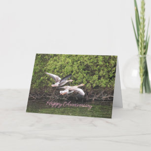 Tarjeta De Agradecimiento Aniversario de Geese