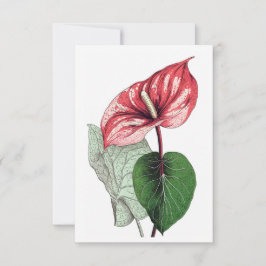 Tarjeta De Agradecimiento Anthurium Tropical Flower Blank