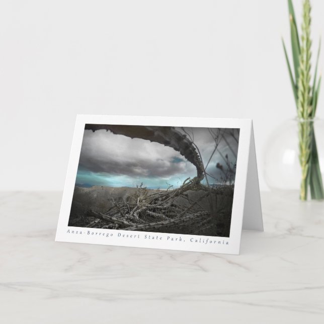 Tarjeta De Agradecimiento Anza-Borrego Deert dead ocotillo (Anverso)