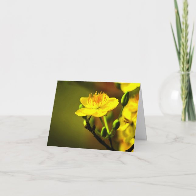 Tarjeta De Agradecimiento Apricot Blossom Todas Las Ocasiones Notecard (Anverso)