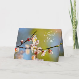 Tarjeta De Agradecimiento Apricot japonés admirable