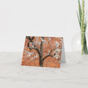 Tarjeta De Agradecimiento Árbol de albaricoque Flor de Primavera Pared de La