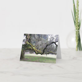 Tarjeta De Agradecimiento Árbol de confianza con ramas fuertes extendidas