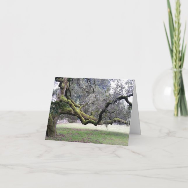 Tarjeta De Agradecimiento Árbol de confianza con ramas fuertes extendidas (Anverso)