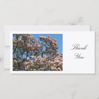 Tarjeta De Agradecimiento Árbol de Magnolia en Florencia - Gracias