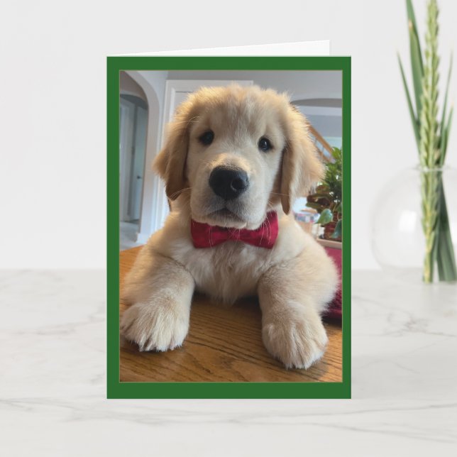 Tarjeta De Agradecimiento Archie Navidades Bowtie (Anverso)