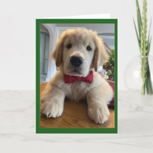 Tarjeta De Agradecimiento Archie Navidades Bowtie
