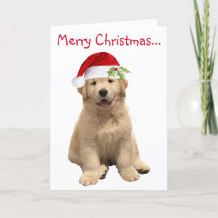 Tarjeta De Agradecimiento Archie Navidades Puppy