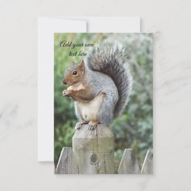 Tarjeta De Agradecimiento ardilla (Anverso)