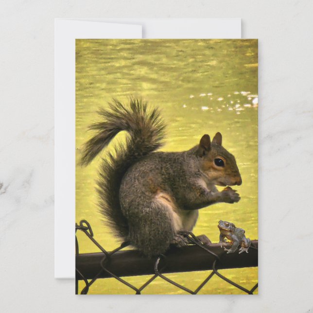 Tarjeta De Agradecimiento ardilla gris oriental (Sciurus carolinensis)  (Anverso)