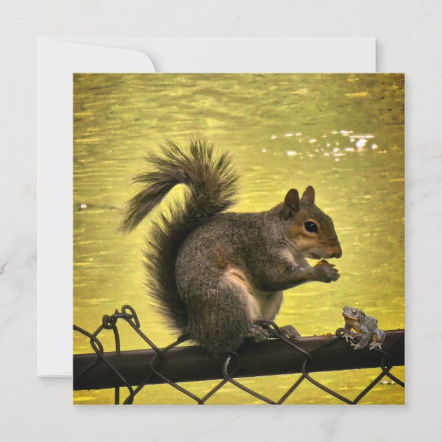 Tarjeta De Agradecimiento ardilla gris oriental (Sciurus carolinensis)  (Anverso)