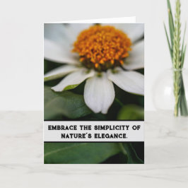 Tarjeta De Agradecimiento Armonía Petal Blanca - Gracia de la Naturaleza