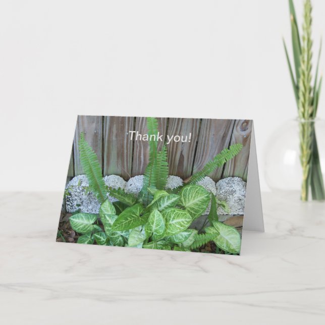 Tarjeta De Agradecimiento Arreglo natural de caladio y helechos (Anverso)