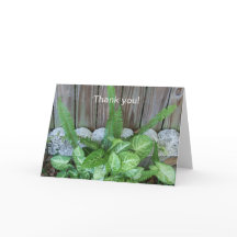 Arreglo natural de caladium y helechos