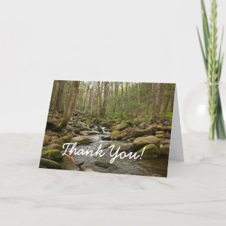 Tarjeta De Agradecimiento Arroyo LeConte en Great Smoky Mountains