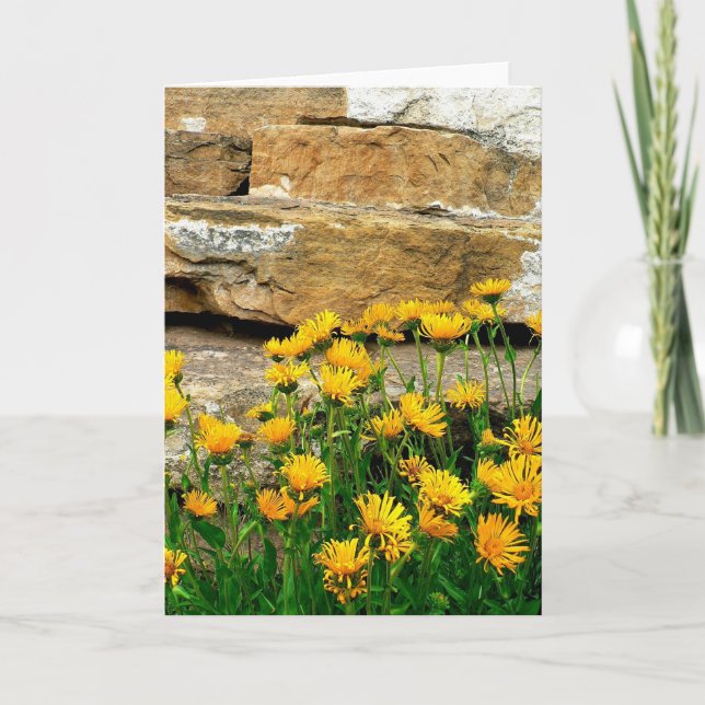 Tarjeta De Agradecimiento Asistentes amarillos (Anverso)