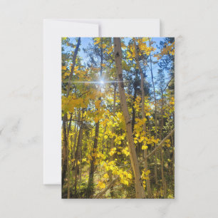 Tarjeta De Agradecimiento Aspen Sun Card