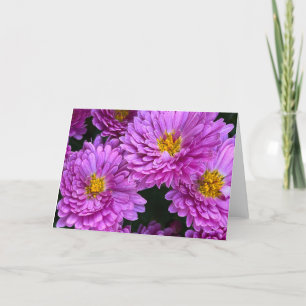 Tarjeta De Agradecimiento Asters in Full Bloom Blank Card