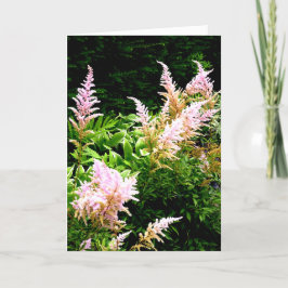 Tarjeta De Agradecimiento Astilbe