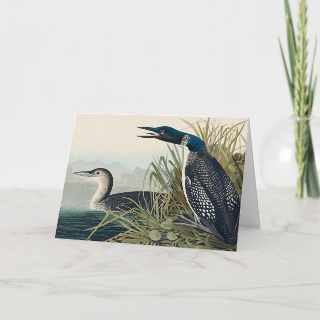Tarjeta De Agradecimiento Audubon Bird Lodge Diver Classic (Anverso)