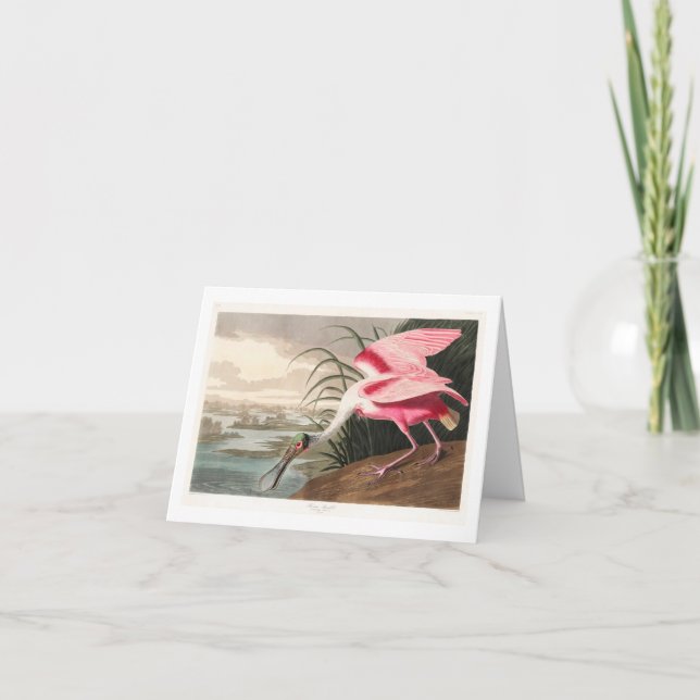 Tarjeta De Agradecimiento Audubon Birds of America (Anverso)