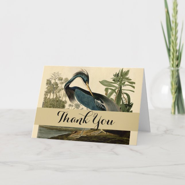 Tarjeta De Agradecimiento Audubon Louisiana Heron Birds America Art (Anverso)