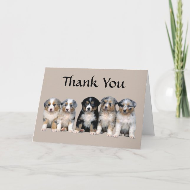Tarjeta De Agradecimiento Australian Shepherd Thank You Puppy Card (Anverso)