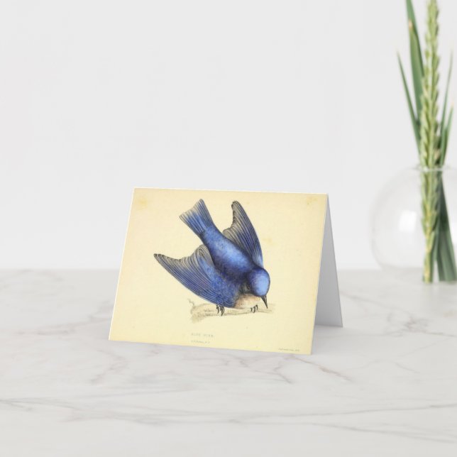 Tarjeta De Agradecimiento Ave azul de la felicidad (Anverso)