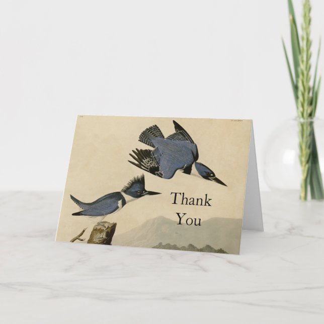 Tarjeta De Agradecimiento Ave salvaje Audubon Belt Kingfisher (Anverso)