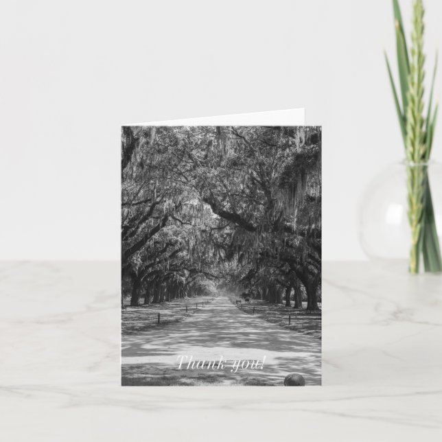 Tarjeta De Agradecimiento Avenida De La Escala De Grises De Oaks (Anverso)