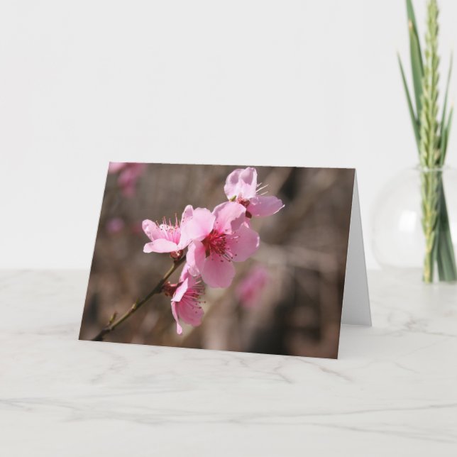 Tarjeta De Agradecimiento Azalea floreciente (Anverso)