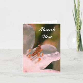Tarjeta De Agradecimiento Azalea Flower Y Grasshopper Gracias Card