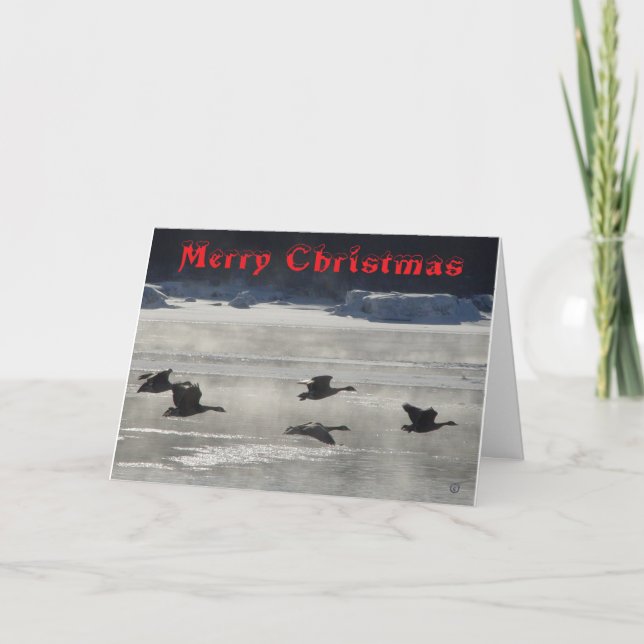 Tarjeta De Agradecimiento B47 Canada Geese Over Frozen River Christmas Card (Anverso)