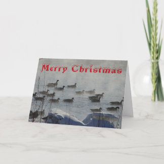 Tarjeta De Agradecimiento B 49 Canada Geese on Foggy River Christmas Card