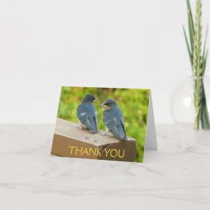 Tarjeta De Agradecimiento Baby Barn Swacks