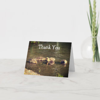 Tarjeta De Agradecimiento Baby Canada Geese Nature (Tarjeta de agradecimient
