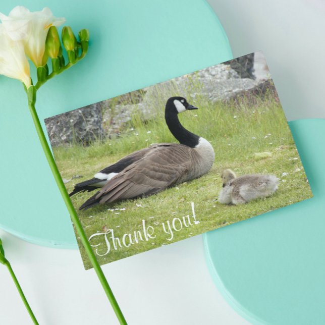 Tarjeta De Agradecimiento Baby Goose Photo Baby Shower (In Situ)