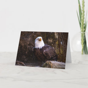 Tarjeta De Agradecimiento Bald Eagle