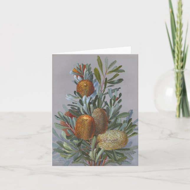 Tarjeta De Agradecimiento Banksia Australian Wildflower Watercolor (Anverso)