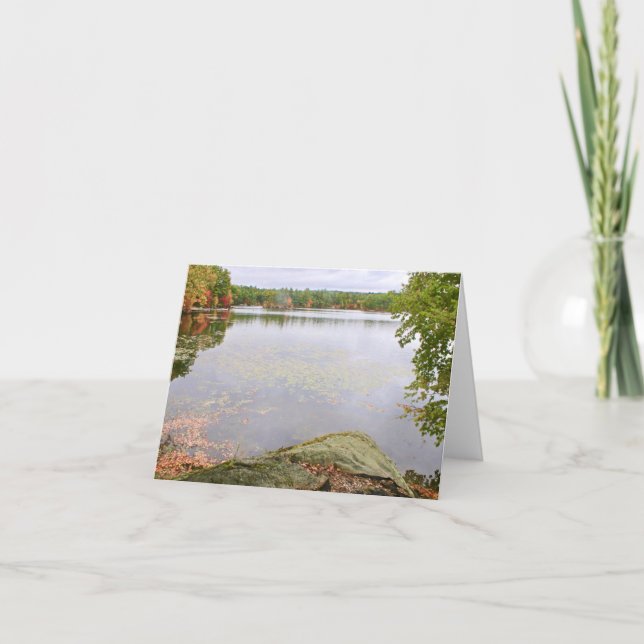 Tarjeta De Agradecimiento Bare Hill Pond (Anverso)